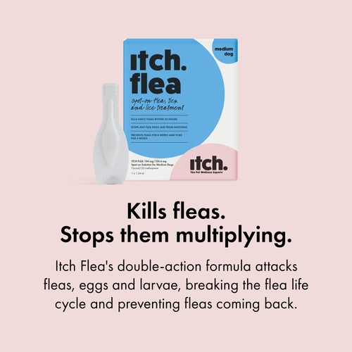Itch Flea & Tick Treatment for Medium Dogs (10-20kg) thumbnail 6