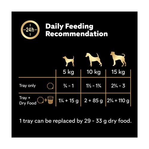 Cesar Classics Terrine Wet Dog Food Trays Mixed Selection 3x8pk thumbnail 5