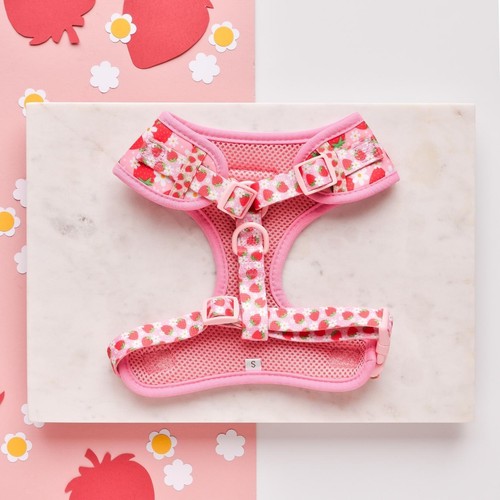 Cocopup London Pupberry Fields Dog Harness Extra Small thumbnail 3