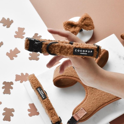 Cocopup London Teddy Paddington Dog Collar Medium thumbnail 2