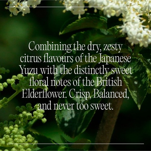 Goodrays CBD Drinks - Elderflower & Yuzu thumbnail 3