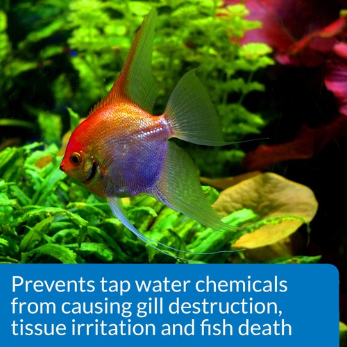 AQUARIAN Tap Water Safe 118ml thumbnail 4
