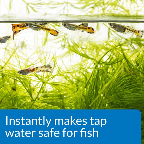 AQUARIAN Tap Water Safe 118ml thumbnail 5