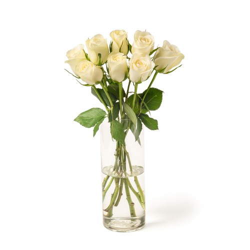 White Roses