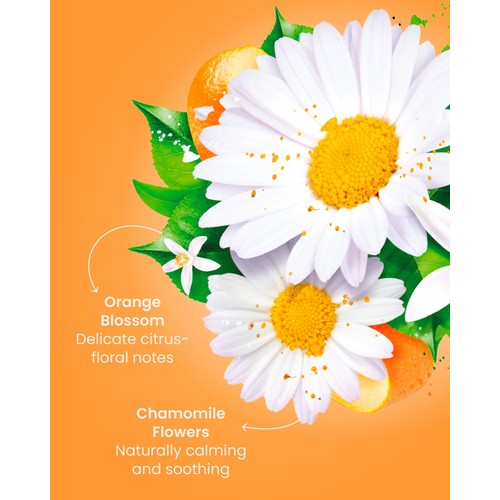 Good Earth Teabags Camomile with Orange Blossom thumbnail 7