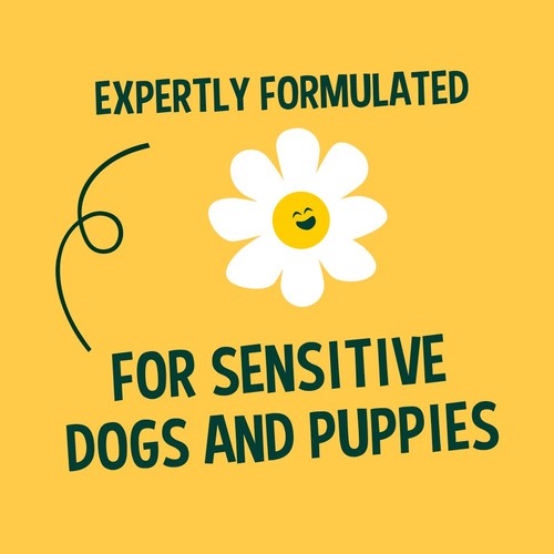Faith In Nature Dog Care Shampoo Chamomile thumbnail 4