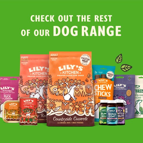 Lily's Kitchen Joints & Mobility Supplement for Dogs thumbnail 9
