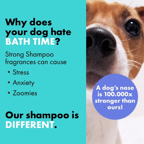 DotDotPet Battersea Double Coat Dog Shampoo thumbnail 7