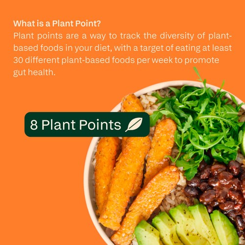all plants Veggie Tempeh Golden Lentils thumbnail 4