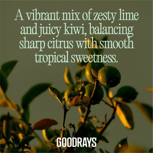 Goodrays Re Focus Zesty Lime & Kiwi thumbnail 4