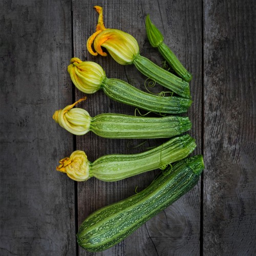 She Grows Veg Courgette Striato Seeds thumbnail 2