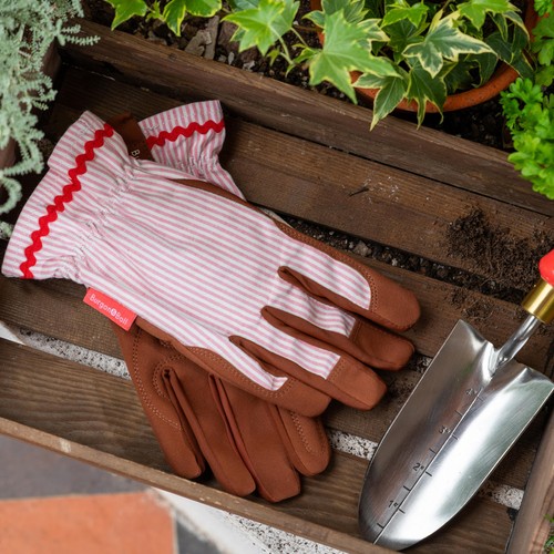 Burgon & Ball Colour Collection Gloves Blush Stripe thumbnail 4