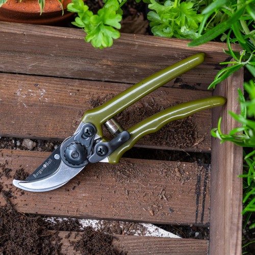 Burgon & Ball Collectors Olive Micro Secateurs thumbnail 4