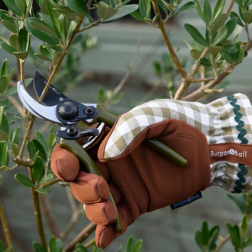 Burgon & Ball Colour Collection Gloves Olive Check thumbnail 5