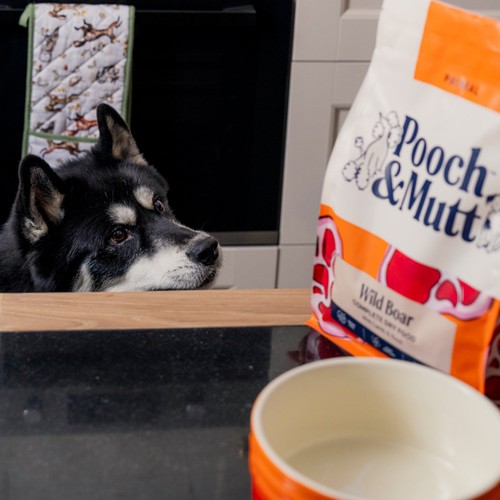 Pooch & Mutt Primal Wild Boar 2kg thumbnail 9