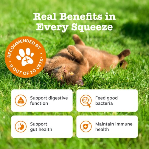 Zesty Paws Digestive Care Paste For Cats thumbnail 2