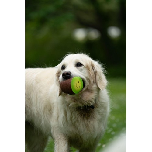 Petface Foodie Faces Kiwi Latex Dog Toy thumbnail 2