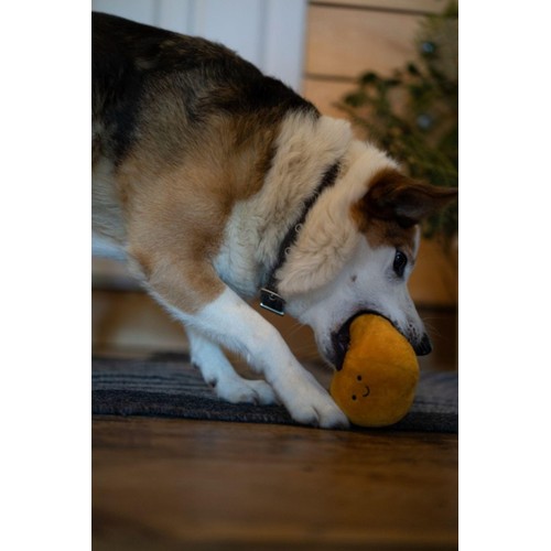 Petface Foodie Face Satsuma Plush Dog Toy thumbnail 2