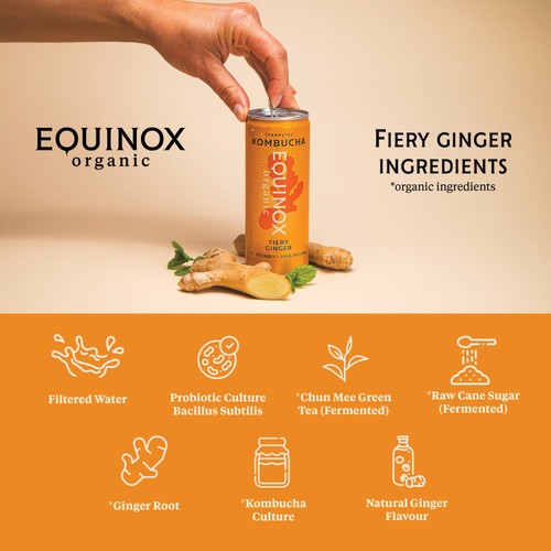 Equinox Organic Fiery Ginger Kombucha thumbnail 7