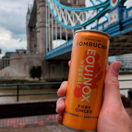 Equinox Organic Fiery Ginger Kombucha thumbnail 8
