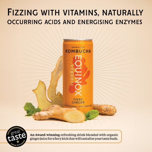 Equinox Organic Fiery Ginger Kombucha thumbnail 9
