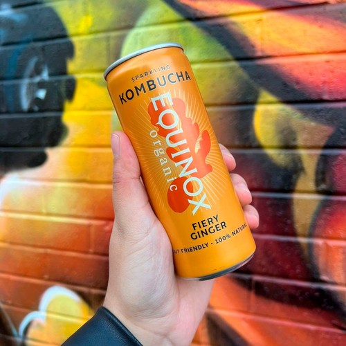 Equinox Organic Fiery Ginger Kombucha thumbnail 10