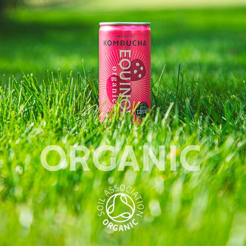 Equinox Organic Raspberry & Elderflower Kombucha thumbnail 3