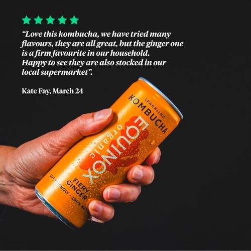 Equinox Organic Fiery ginger Kombucha thumbnail 4