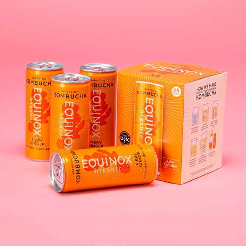 Equinox Organic Fiery ginger Kombucha thumbnail 8