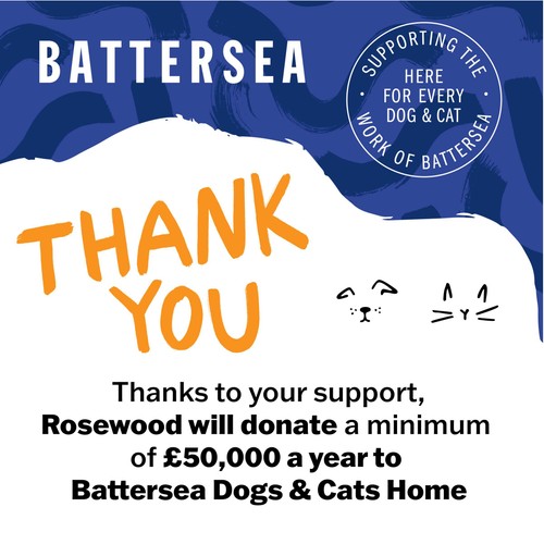 Battersea Anti-Hairball Chicken Cushions thumbnail 8