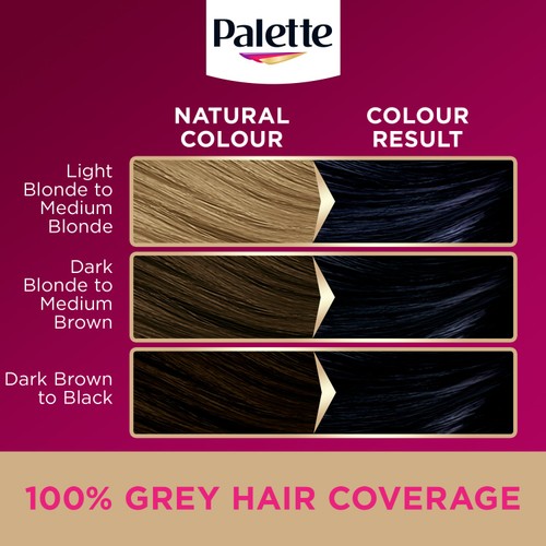 Palette DLX 1-1 Blue Black GB thumbnail 4