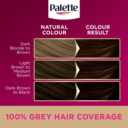 Palette DLX 3-65 Chocolate Brown GB thumbnail 4