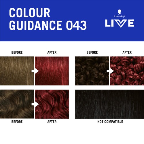 LIVE Intense Colour 043 Red Passion thumbnail 4