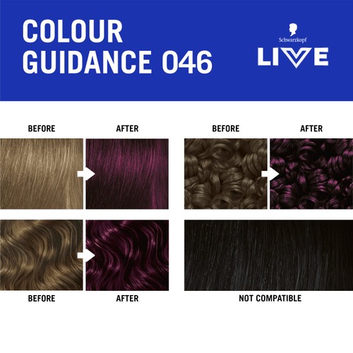 LIVE Intense Colour 046 Cyber Purple thumbnail 8