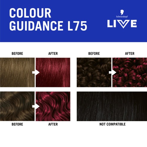 LIVE Intense Colour L75 Deep Red thumbnail 7