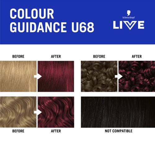 LIVE Intense Colour U68 Ruby Glaze thumbnail 8