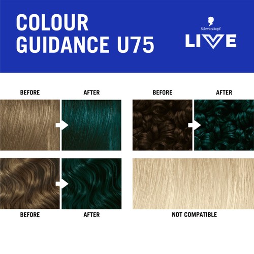 LIVE Intense Colour U75 Midnight Jade thumbnail 8