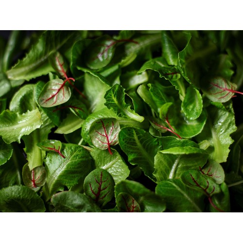 M&S Collection Citrus Sorrel Baby Leaves thumbnail 2