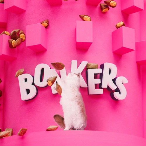 BONKERS Cat Bites, Crunchy & Soft Salmon Supreme Flavoured Cat Treats thumbnail 10