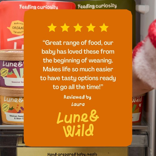 Lune & Wild Handmade Cottage Pie Baby Purees 6+ Months thumbnail 6