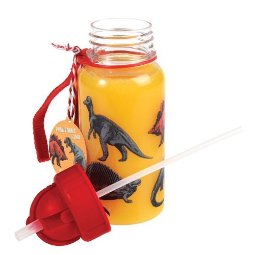 Rex London Prehistoric Land Water Bottle with Straw 500ml thumbnail 4