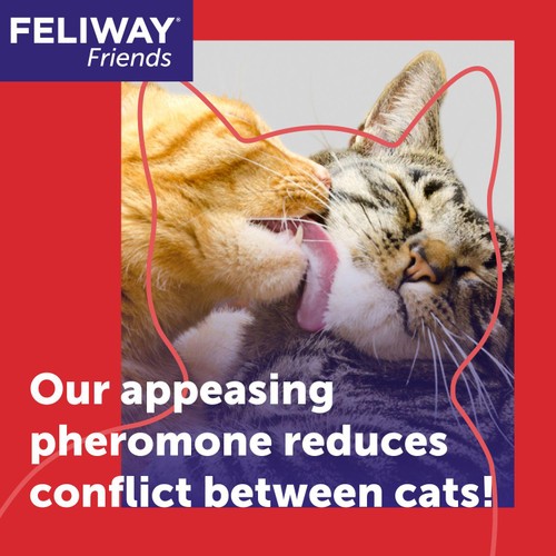 Feliway Friends Cat Calming Diffuser Kit thumbnail 2