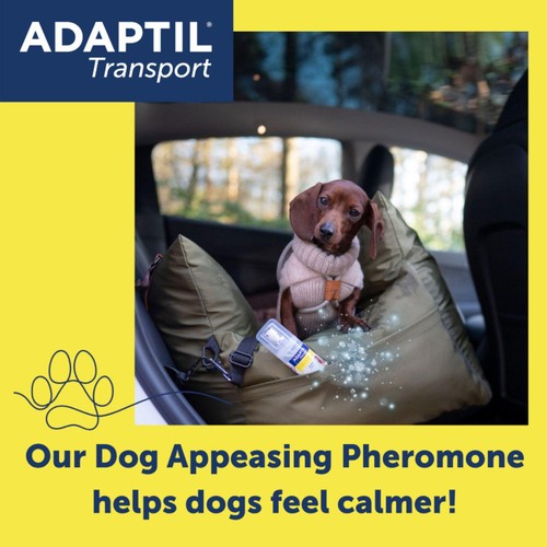 Adaptil Dog Calming Spray for Stress & Anxiety thumbnail 2