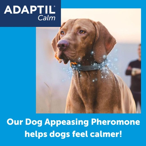 Adaptil Dog Calming Collar Small thumbnail 2