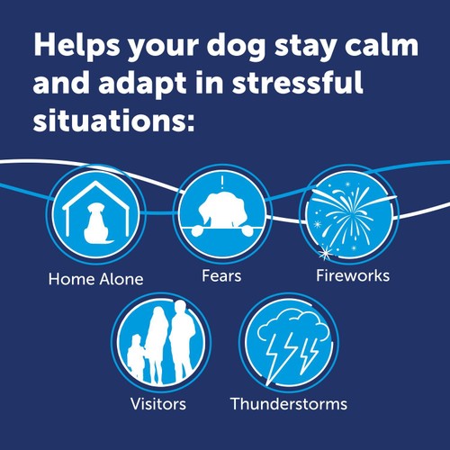 Adaptil Dog Calming Diffuser Starter Kit thumbnail 2