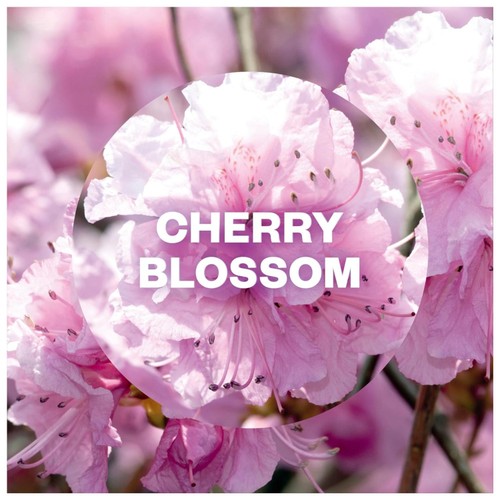 Airwick Cherry Blossom & Raspberry Essential Mist Kit thumbnail 2
