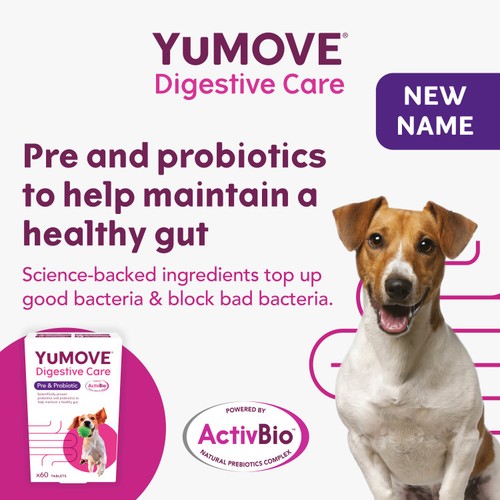 YuMOVE Digestive Support Pre & Probiotic for Dogs thumbnail 5