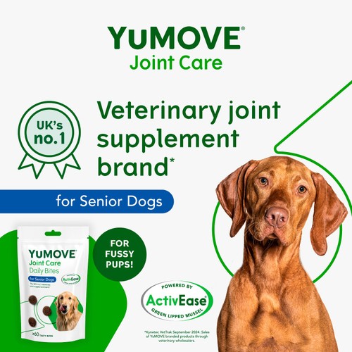 YuMOVE Joint Support Daily Bites for Senior Dogs thumbnail 4