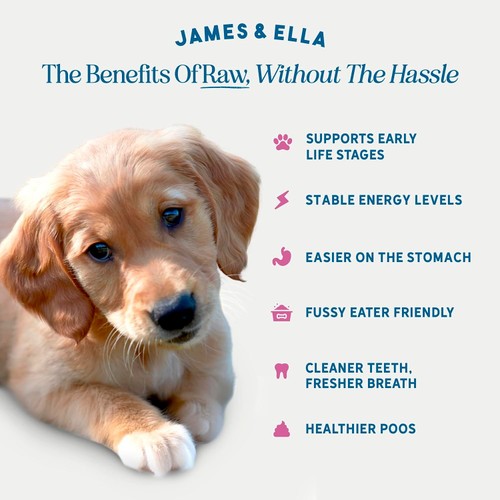 James & Ella Raw+Kibble Puppy Free Range Turkey Dogfood thumbnail 3