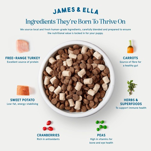 James & Ella Raw+Kibble Puppy Free Range Turkey Dogfood thumbnail 4